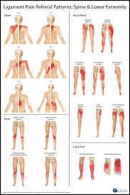 Pin On Treatment Approaches