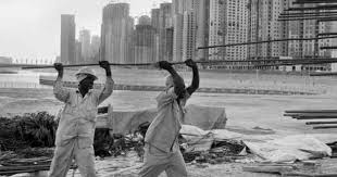 Image result for White 1983 UMM