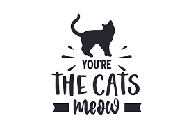 Really masl great looging imaes svgur.com. You Re The Cats Meow Svg Cut File By Creative Fabrica Crafts Creative Fabrica