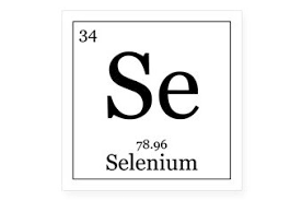 Image result for Selenium