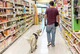 Enter your zip code and then. Preparing For No Pets Places Psychiatric Service Dog Partners