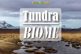 The Tundra Biome Facts Pictures Information A Land Of Frozen Beauty