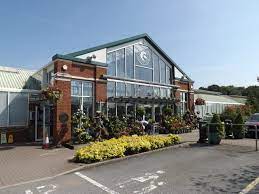 _ the best little garden center in chester county. Grosvenor Garden Centre Dog Furiendly
