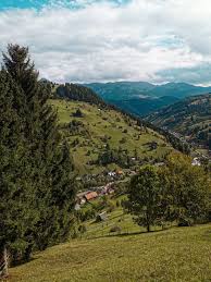 Looking for hotels in moeciu de sus? Vremea Moeciu De Sus 10 Zile