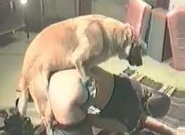 A la ferme german p6. German Housewife Gets Fucked By Dog Petsex Com Men Fucks Animal Extrem Sex And Taboo Porn