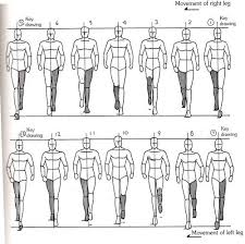 Answers About Animation For Fans Human Walk Cycle Front View Walking Animation Animation Reference Guy Drawing