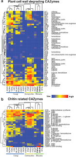 We did not find results for: Distribution Of A Plant Cell Wall Degrading Enzymes And B Chitin Download Scientific Diagram