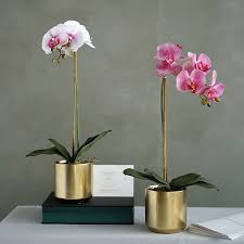 Suelo blue ceramic hanging pot small. Modern Gold Indoor Mini Orchid Planters Flowerpot Bonsai Succulent Small Flower Pot Ceramic Buy Small Flower Pot Ceramic Gold Indoor Mini Orchid Planters Flowerpot Ceramic Plant Pot Product On Alibaba Com