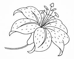 If you want clipart with photos of flowers, either as a whole picture or with the flower cut out from the background, there are other. Flower Outline 3 Svg Flower Svg Gardening Svg Plant Svg Etsy In 2021 Printable Flower Coloring Pages Flower Coloring Pages Coloring Pages