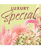 Town and country flowers is a small florist in huntington, indiana. Town Country Flowers And Gifts Your Local Alexandria On Florist Flower Shop
