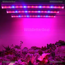 Maybe you would like to learn more about one of these? Better Led Grow Light Full Spectrum Indoor Plant Lamp T5 Tube Bulb Light For Plan Shopee Philippines