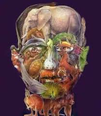 Animal Face Optical Illusions Art Scary Optical Illusions Optical Illusions Pictures