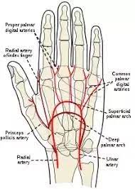 What Are Some Ways To Improve Blood Circulation In The Hands And Feet? -  Quora