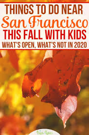 A number of san francisco attractions are sprinkled along this street and it's a popular place for strolling. 310 San Francisco Travel Ideas In 2021 San Francisco Travel California Travel San Francisco