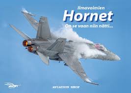 Image result for suomen ilmavoimat