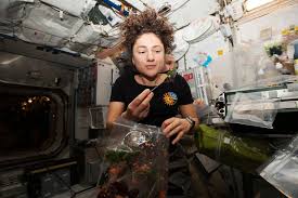 Astronaut Jessica Meir Returns Home to a “Completely Different Planet” |  Vanity Fair