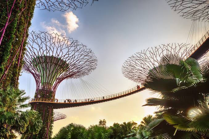Singapore layover? Here's how to spend 12 hours in Lion City | National Geographic