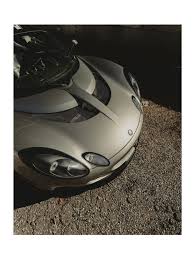 Image result for Lotus discolor