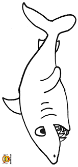 Chomp Like A Shark Shark Coloring Pages Toddler Art Projects Colors For Toddlers