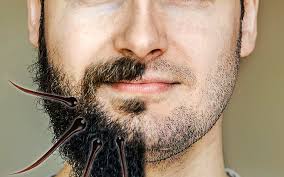 It usually stimulates hair growth.this is infact a myth, shaving doesnot increase. Does Shaved Hair Grow Back Thicker You Ask We Answer