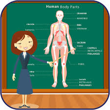Jan 09, 2019 · 30 old (and useful) slang names for parts of the body. Body Parts Names And Pictures Apk 1 0 Download For Android Download Body Parts Names And Pictures Apk Latest Version Apkfab Com