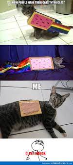 Nyan Cats Funsubstance Nyan Cat Cats Funny Animals