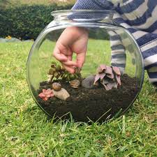 How To Make A Snail Terrarium Snails In Garden Terrarium Pet Snails