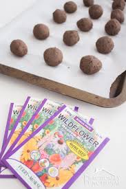 Adults will need to run the food processor, but cutting the paper scraps and shaping the balls gives kids lots of fine motor practice. How To Make Wildflower Seed Bombs With Air Dry Clay