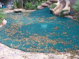 Pool Leaf Covers Custom Fitted Pool Leaf Covers Pool Leaf Safety Covers Pool Cover Custom Pools Mesh Pool Covers