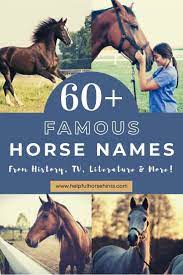 Below we have chosen a combination of famous horses from modern and ancient times. Famous Horse Names E Hno At
