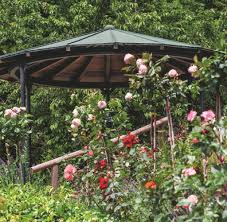 Rosen garten lived in 1944, at address, ohio. Adenauers Garten Der Kanzler Liebte Rosen Selbst Rote Welt