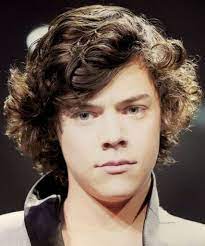 harry styles hair google search curly natural curls medium length hairstyles for women with thick wavy