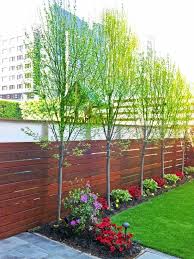71 Fantastic Backyard Ideas On A Budget Worthminer Privacy Fence Landscaping Small Backyard Landscaping Backyard Fences
