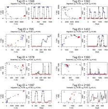 Whats people lookup in this blog: Flexible Characterization Of Animal Movement Pattern Using Net Squared Displacement And A Latent State Model Springerlink