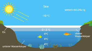 Discover more posts about anomalie. Anomalie Des Wassers Erklarung Und Beispiel Mit Video