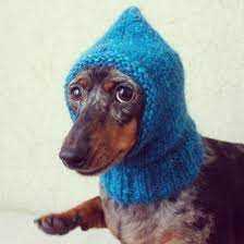Knitting Pattern Small Dog Hat Mini Dachshund Hat Pet Clothes Pets Pet Hat Knit Hat Knitted Dog Hat Little Dog Hat Doxie Wiener Dog Hat Dachshund Mini Dachshund