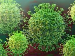 Singh, who was a senior ias officer, was admitted to a hospital after testing positive for coronavirus and was undergoing treatment. Bihar Chief Secretary Arun Kumar Singh Dies Of Covid 19 The Economic Times