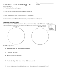 Learn vocabulary, terms and more with flashcards, games and other study tools. Plant Cell Lab