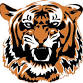 Crystal Lake Central High School vs. Hampshire event image