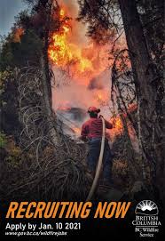 The summer of 2020 and 2019 did not see any forest wildfire activity in our area. Bc Wildfire Service Home Facebook