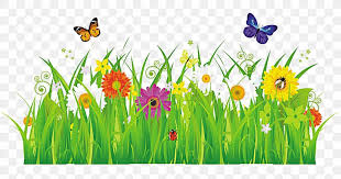 Большой выбор картинок цветов в формате png. Insect Flower Stock Photography Royalty Free Clip Art Png 1000x526px Insect Color Flora Floral Design Floristry