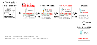 Dna 抽出 中 性 洗剤 理由