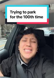 Alberto Gramercy Dash Cam