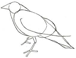 Bird On The Head Figure Of Speech Draw Crow Crows Drawing Crow Painting Crow Art