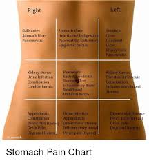 Pin On Kidney S Cleansing
