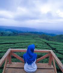 Check spelling or type a new query. 8 Kebun Teh Paling Indah Dan Instagramable Cuma Ada Di Indonesia