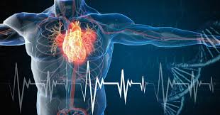 Dalla SIPREC arriva l'allarme prevenzione cardiovascolare: peggiorano gli stili di vita e aumentano le patologie. | O.S.S. Informa