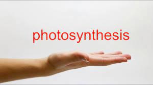 Photosynthesis poster by chrisbutler redbubble. How To Pronounce Photosynthesis American English Youtube