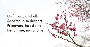 Rosul semnifica dragoste pentru tot ce este frumos, amintind de culoarea sangelui tanaralui voinic. Mesaje De 1 Martie Urari Ganduri Curate Si Sms Uri De 1 Martie