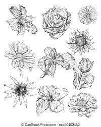 Pagine di libro da colorare disegni da colorare fiori colorati motivi floreali tatuaggi floreali d'epoca attività di pittura disegno floreale libri da colorare idee per disegnare. Mano Fiori Disegno Set Illustrazione Disegno Bianco Monocromatico Casato Vendemmia Set Arte Fondo Flowers Canstock